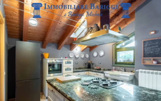 Aprica Penthouse in the Baradello area